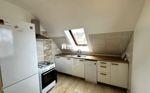 Byt 2+kk, 60 m² – Praha, Řepy, ulice Čistovická k pronájmu | REALT