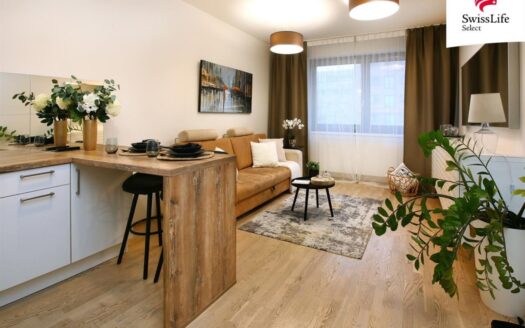 Pronájem bytu 1+kk, 35 m² – Praha, Žižkov, ulice Olšanská