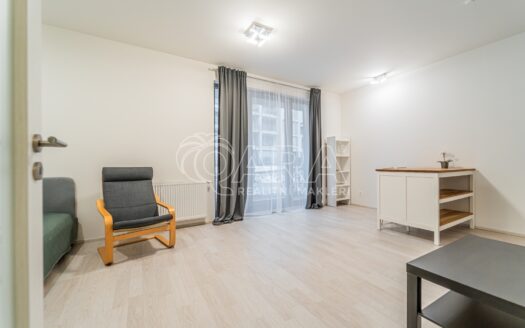 Pronájem bytu 1+kk, 36 m² – Praha, Karlín, ulice U Mlýnského kanálu