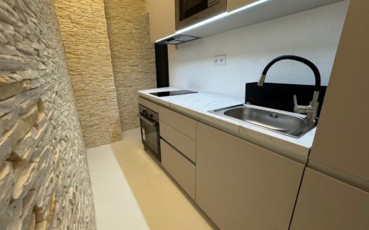 Pronájem bytu 2+1, 65 m² – Praha, Žižkov, ulice Na Jarově