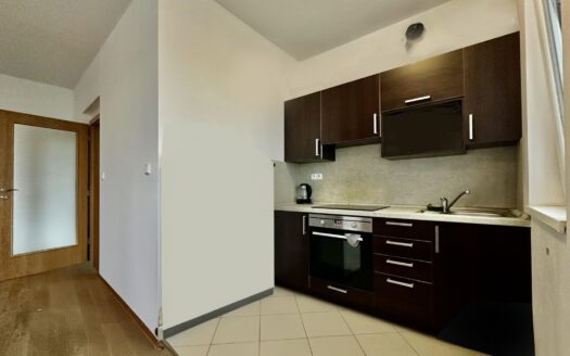 Pronájem bytu 1+1, 41 m² – Praha, Hloubětín, ulice Nademlejnská