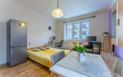 Byt 2+kk, 47 m² – Praha, Žižkov, ulice Biskupcova 1810 na prodej | REALT