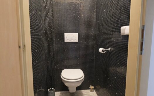 Pronájem bytu 1+kk, 70 m² – Praha, Vysočany, ulice Na Harfě