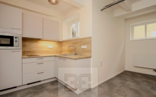 Byt 1+kk, 40 m² – Praha, Holešovice, ulice Vinařská 1174 k pronájmu | REALT