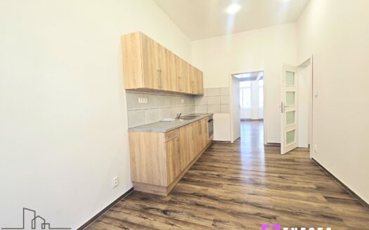 Byt 1+1, 46 m² – Praha, Nusle, ulice Boleslavova 416 k pronájmu | REALT