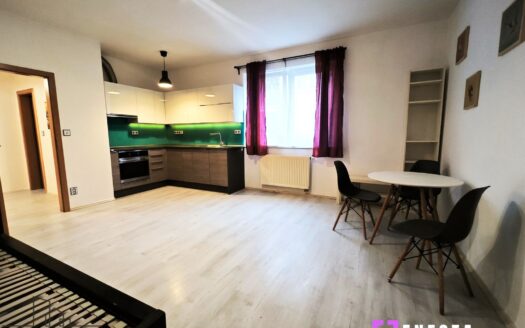 Byt 1+kk, 39 m² – Praha, Libeň, ulice Budilova 2385 k pronájmu | REALT