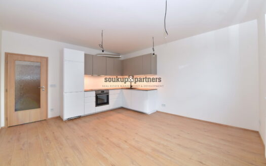 Byt 2+kk, 48 m² – Praha, Hlubočepy, ulice Fabiánové k pronájmu | REALT