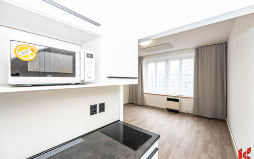 Byt 1+kk, 30 m² – Praha, Bubeneč, ulice Rooseveltova 892 k pronájmu | REALT