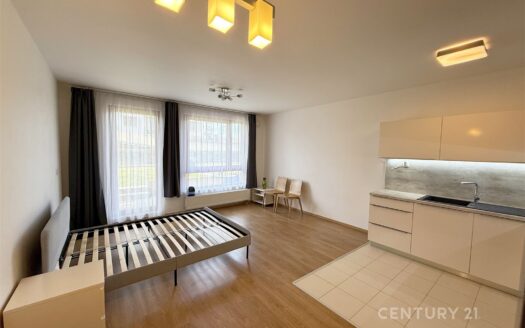 Byt 1+kk, 40 m² – Praha, Vysočany, ulice Ocelářská 975 k pronájmu | REALT
