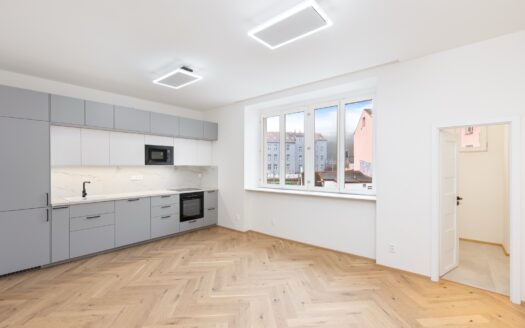 Byt 1+kk, 38 m² – Praha, Nusle, ulice Sekaninova na prodej | REALT