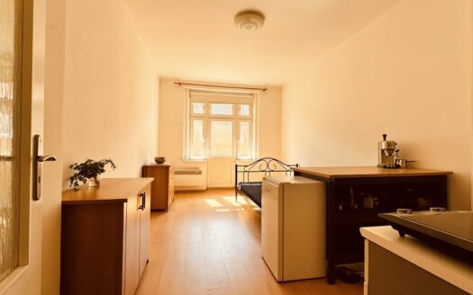 Byt 1+kk, 24 m² – Praha, Žižkov, ulice Buchovcova k pronájmu | REALT