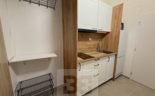 Byt 2+1, 38 m² – Praha, Žižkov, ulice Hartigova 1229 k pronájmu | REALT