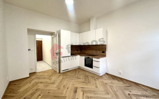 Byt 1+kk, 27 m² – Praha, Žižkov, ulice Seifertova 545 k pronájmu | REALT