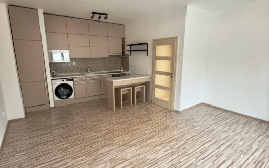 Byt 2+kk, 50 m² – Praha, Žižkov, ulice Hořanská 1515 k pronájmu | REALT