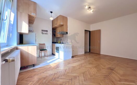 Byt 1+kk, 25 m² – Praha, Kbely, ulice Luštěnická k pronájmu | REALT