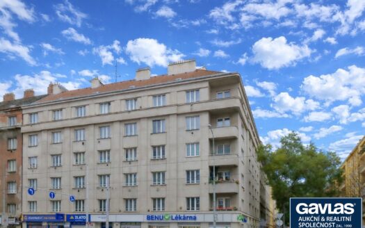 Byt 1+kk, 24 m² – Praha, Žižkov, ulice Jana Želivského 1801 k pronájmu | REALT