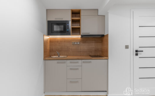 Prodej bytu 5+1 a více, 40 m² – Praha, Nusle, ulice U Jezerky 1158