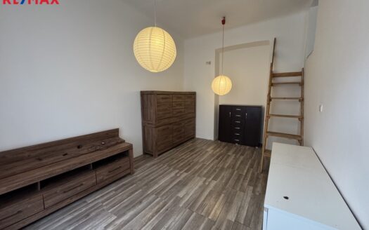 Byt 1+1, 37 m² – Praha, Žižkov, ulice Seifertova 353 k pronájmu | REALT