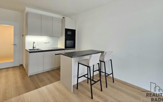 Byt 1+kk, 33 m² – Praha, Hloubětín, ulice Poděbradská 1197 k pronájmu | REALT