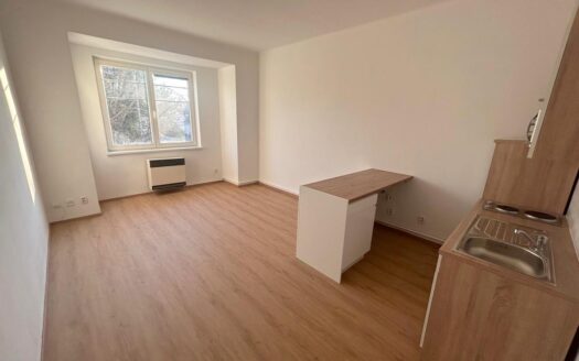 Byt 1+kk, 30 m² – Praha, Vinohrady, ulice Soběslavská k pronájmu | REALT