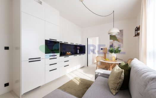 Byt 2+kk, 39 m² – Praha, Vršovice, ulice Krymská 227 k pronájmu | REALT