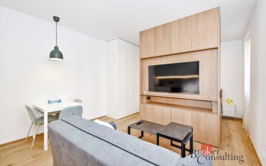 Byt 1+kk, 36 m² – Praha, Nusle, ulice Vrtbova 1678 k pronájmu | REALT