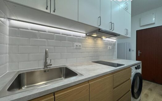 Byt 1+1, 28 m² – Praha, Smíchov, ulice Radlická 2265 k pronájmu | REALT