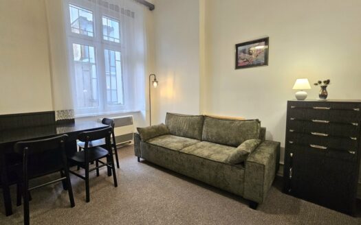 Byt 3+kk, 70 m² – Praha, Libeň, ulice Palmovka k pronájmu | REALT