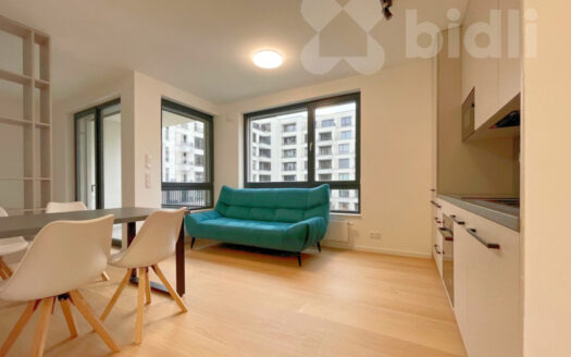 Byt 1+kk, 46 m² – Praha, Nusle, ulice Závišova 1760 k pronájmu | REALT