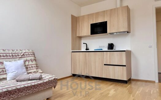 Byt 1+kk, 24 m² – Praha, Nové Město, ulice Tyršova k pronájmu | REALT