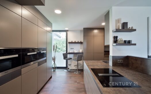 Byt 5+kk, 514 m² – Praha, Radlice, ulice Radlická 348 na prodej | REALT