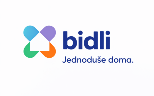Bidli jednoduse doma