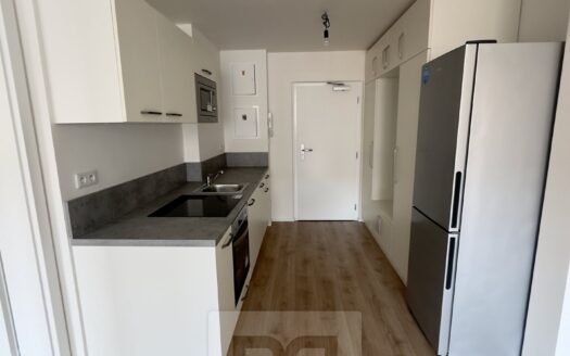 Byt 2+kk, 47 m² – Praha, Chodov, ulice Chodov k pronájmu | REALT