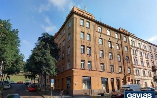 Byt 1+1, 44 m² – Praha, Žižkov, ulice Hartigova 1245 k pronájmu | REALT