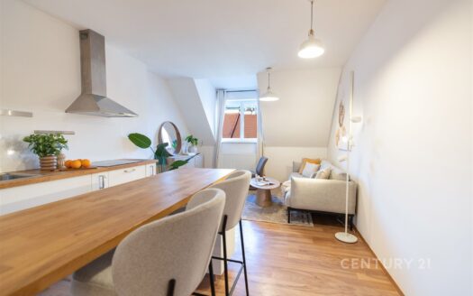 Byt 1+kk, 34 m² – Praha, Vršovice, ulice Holandská 1051 na prodej | REALT