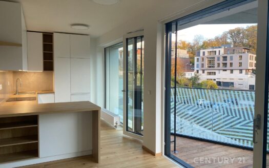 Byt 2+kk, 53 m² – Praha, Smíchov, ulice Podbělohorská 3399 k pronájmu | REALT