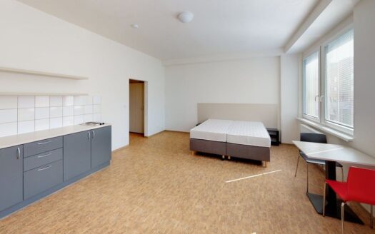 Byt 1+kk, 35 m² – Praha, Smíchov, ulice Křížová k pronájmu | REALT