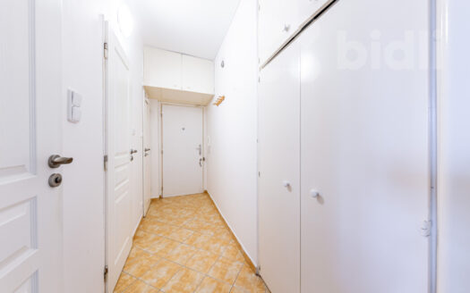 Prodej bytu 2+1, 45 m² – Praha, Vinohrady, ulice Pod Rapidem 2466